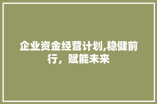 企业资金经营计划,稳健前行，赋能未来
