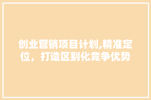 创业营销项目计划,精准定位，打造区别化竞争优势