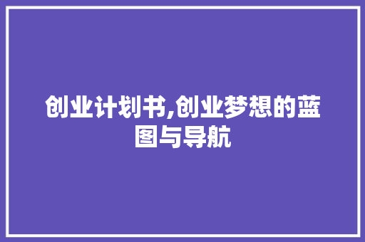 创业计划书,创业梦想的蓝图与导航