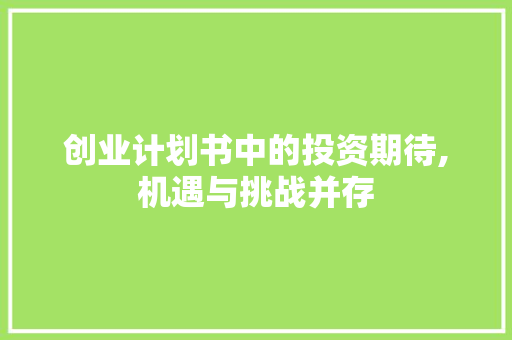 创业计划书中的投资期待,机遇与挑战并存