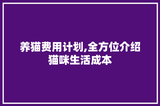 养猫费用计划,全方位介绍猫咪生活成本