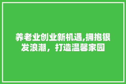 养老业创业新机遇,拥抱银发浪潮，打造温馨家园 工作报告