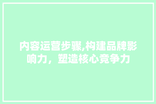 内容运营步骤,构建品牌影响力，塑造核心竞争力