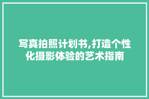 写真拍照计划书,打造个性化摄影体验的艺术指南