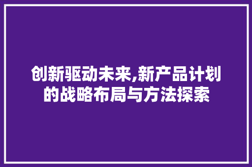 创新驱动未来,新产品计划的战略布局与方法探索