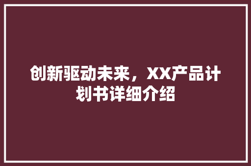 创新驱动未来，XX产品计划书详细介绍