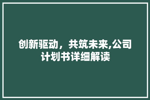 创新驱动，共筑未来,公司计划书详细解读