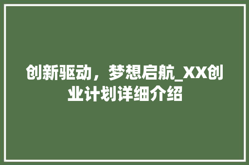 创新驱动，梦想启航_XX创业计划详细介绍