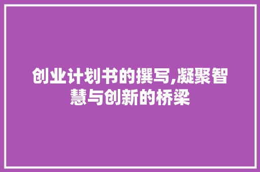 创业计划书的撰写,凝聚智慧与创新的桥梁