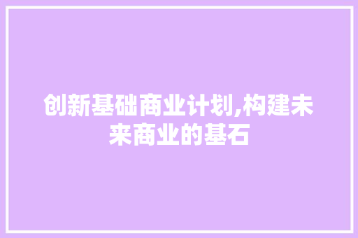 创新基础商业计划,构建未来商业的基石