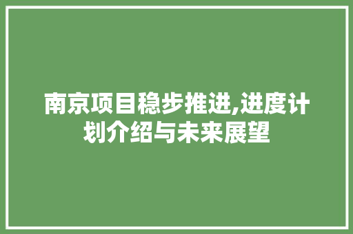 南京项目稳步推进,进度计划介绍与未来展望