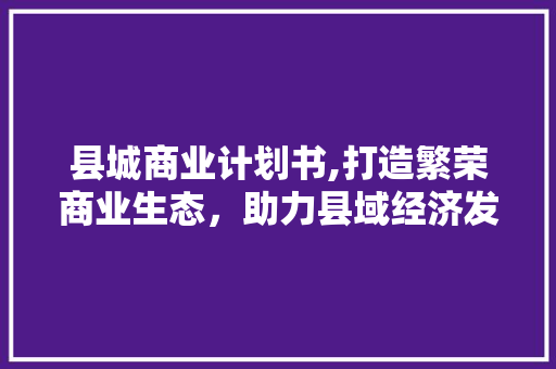 县城商业计划书,打造繁荣商业生态，助力县域经济发展
