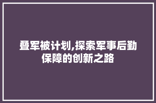 叠军被计划,探索军事后勤保障的创新之路