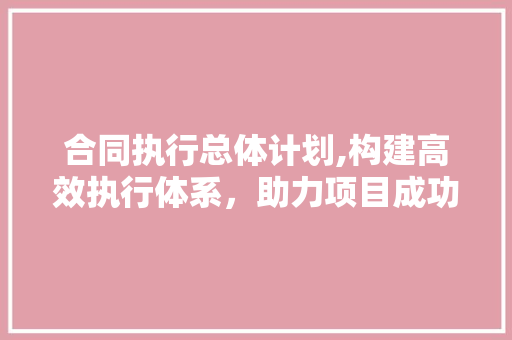合同执行总体计划,构建高效执行体系，助力项目成功