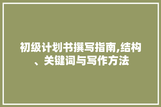 初级计划书撰写指南,结构、关键词与写作方法