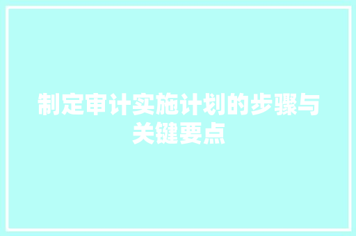 制定审计实施计划的步骤与关键要点