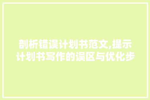 剖析错误计划书范文,提示计划书写作的误区与优化步骤 特写稿