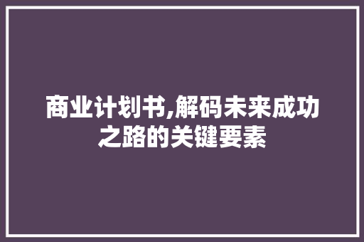 商业计划书,解码未来成功之路的关键要素