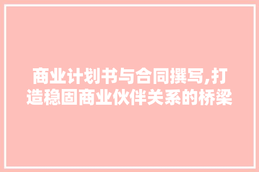 商业计划书与合同撰写,打造稳固商业伙伴关系的桥梁