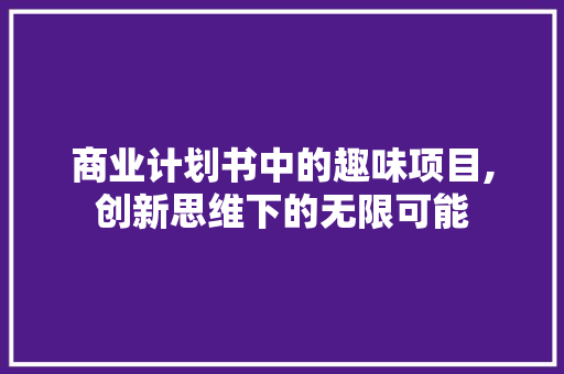 商业计划书中的趣味项目,创新思维下的无限可能