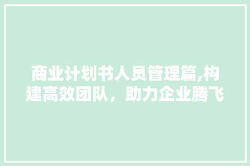 商业计划书人员管理篇,构建高效团队，助力企业腾飞