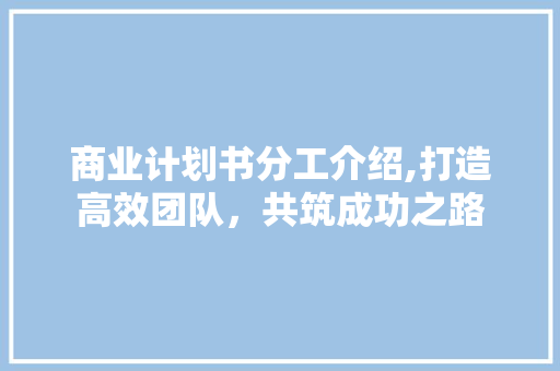 商业计划书分工介绍,打造高效团队，共筑成功之路