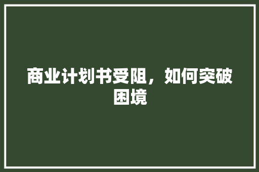 商业计划书受阻，如何突破困境