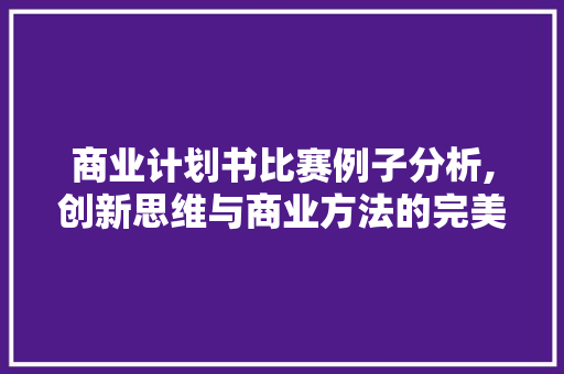商业计划书比赛例子分析,创新思维与商业方法的完美结合 工作总结