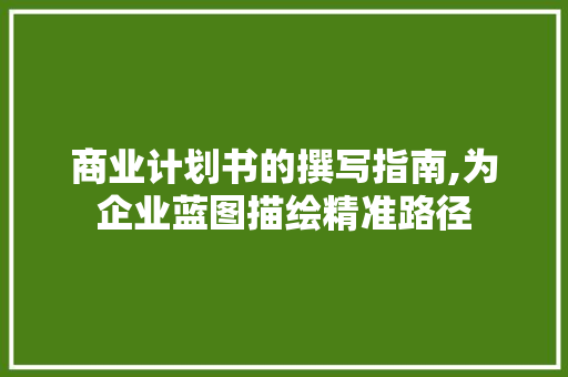 商业计划书的撰写指南,为企业蓝图描绘精准路径