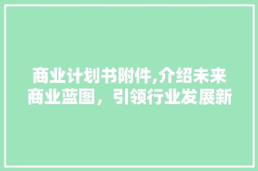 商业计划书附件,介绍未来商业蓝图，引领行业发展新风向