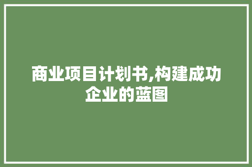 商业项目计划书,构建成功企业的蓝图