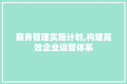 商务管理实施计划,构建高效企业运营体系