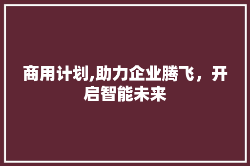 商用计划,助力企业腾飞，开启智能未来