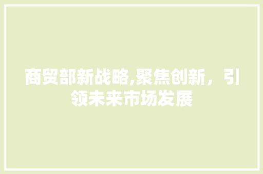 商贸部新战略,聚焦创新，引领未来市场发展
