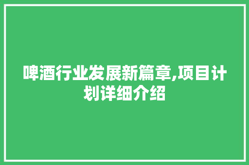 啤酒行业发展新篇章,项目计划详细介绍