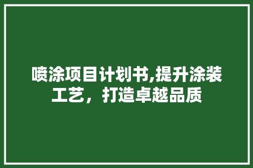 喷涂项目计划书,提升涂装工艺，打造卓越品质