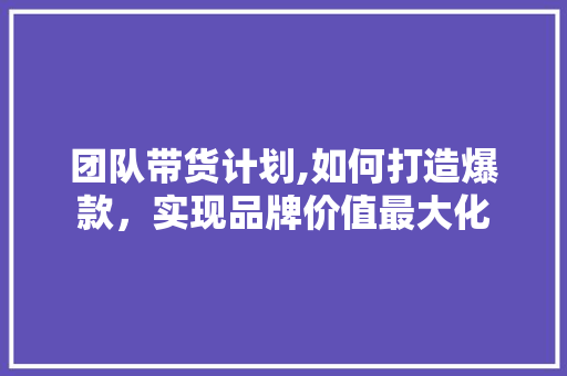 团队带货计划,如何打造爆款，实现品牌价值最大化