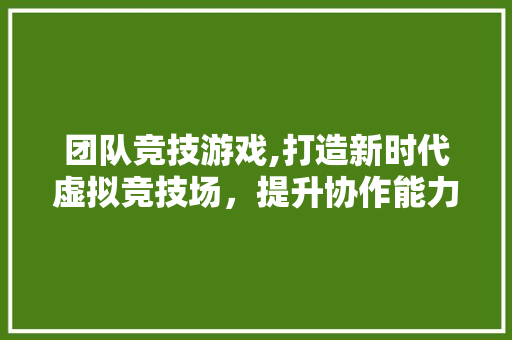 团队竞技游戏,打造新时代虚拟竞技场，提升协作能力与团队精神 工作类
