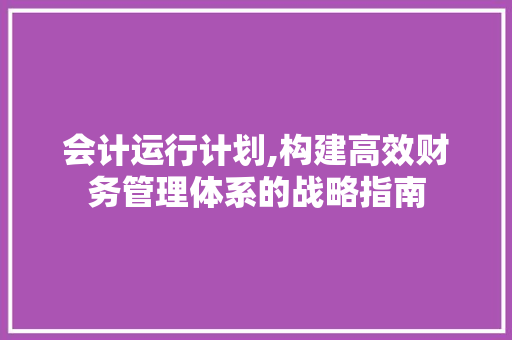 会计运行计划,构建高效财务管理体系的战略指南