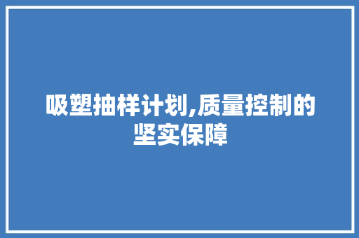 吸塑抽样计划,质量控制的坚实保障
