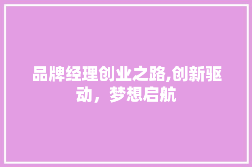 品牌经理创业之路,创新驱动，梦想启航