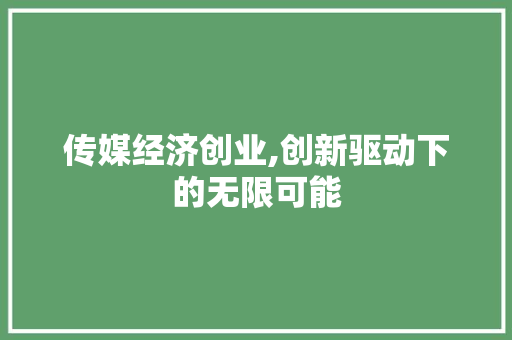 传媒经济创业,创新驱动下的无限可能