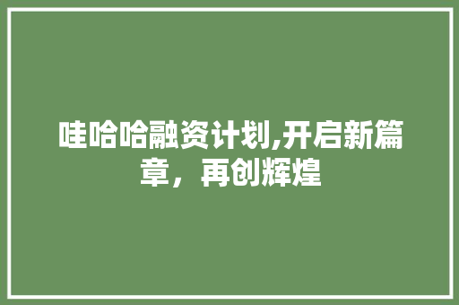 哇哈哈融资计划,开启新篇章，再创辉煌