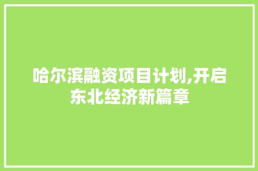 哈尔滨融资项目计划,开启东北经济新篇章