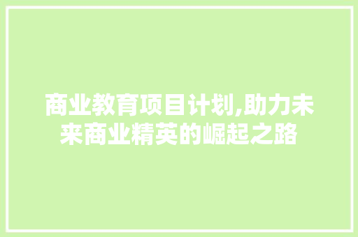 商业教育项目计划,助力未来商业精英的崛起之路