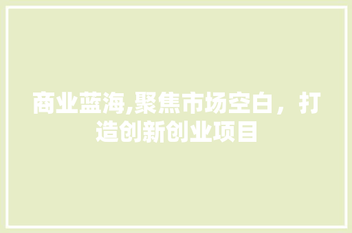 商业蓝海,聚焦市场空白，打造创新创业项目 工作总结