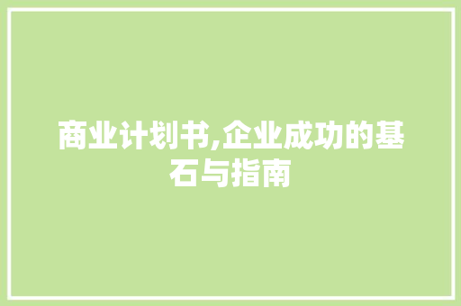 商业计划书,企业成功的基石与指南