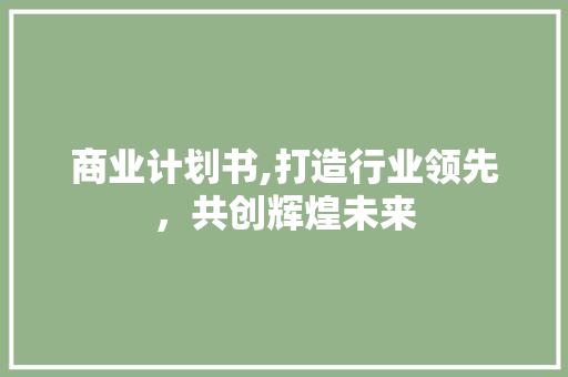 商业计划书,打造行业领先，共创辉煌未来 采访稿