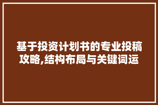 基于投资计划书的专业投稿攻略,结构布局与关键词运用