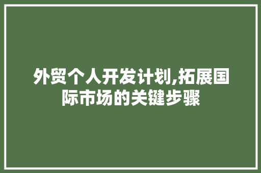 外贸个人开发计划,拓展国际市场的关键步骤 工作报告